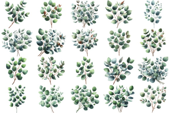 20 Watercolor Eucalyptus Clipart Bundle Review