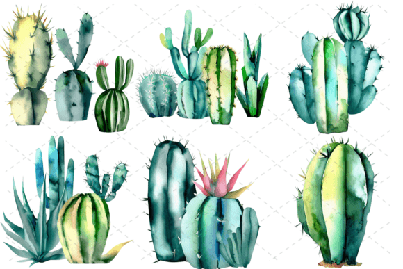6 Watercolor Cactus PNG Clipart Bundle Illustrations