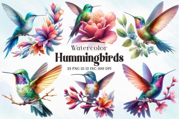 Hummingbirds Watercolor Clipart for Illustrations