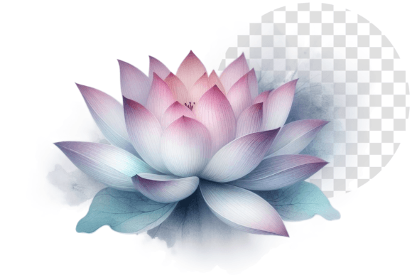 Lotus Elegance Watercolor Bloom Clipart Illustrations