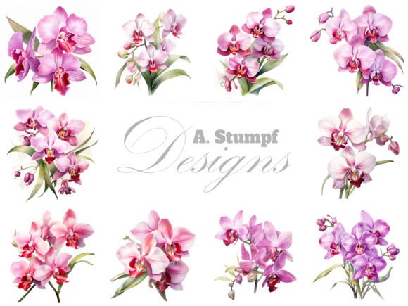 Orchid Watercolor Clipart Bundle: Illustrations for Branding