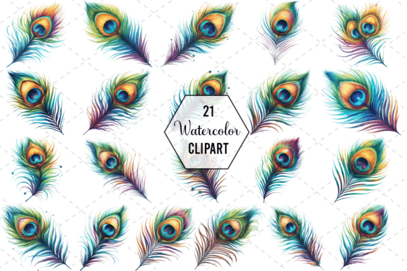 Peacock Fiesta Watercolor Feather Bundle: Illustrations for Branding