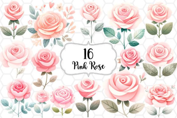 Pink Rose Watercolor Cliparts PNG for Illustrations