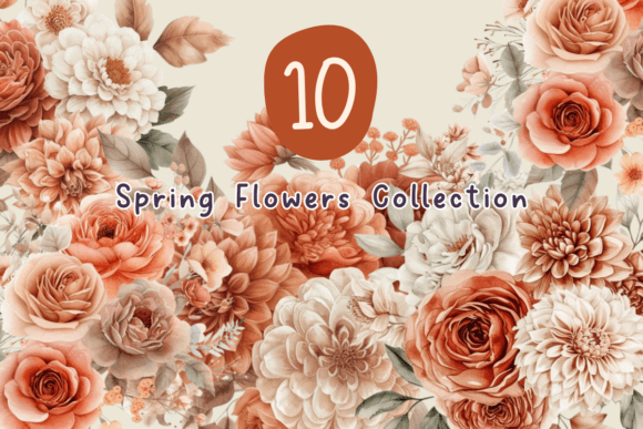 Vintage Elegance Watercolor Floral Illustrations Review