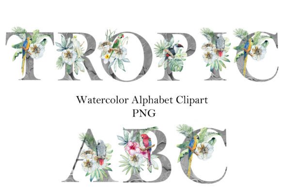 Watercolor Alphabet with Parrots Illustrations Review