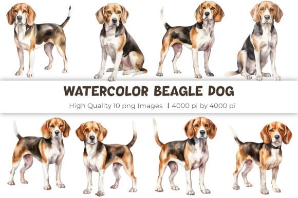 Watercolor Beagle Dog Clipart: Illustrations for Branding