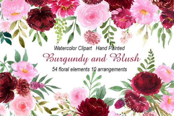 Watercolor Burgundy and Blush Flowers Illustrations