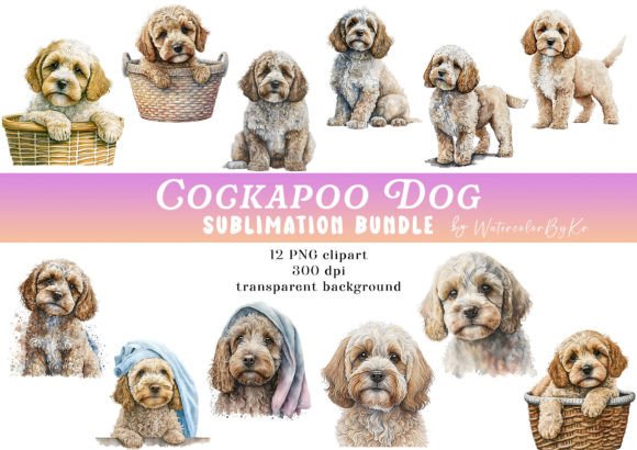 Watercolor Cockapoo Dog Bundle Clipart Illustrations Review