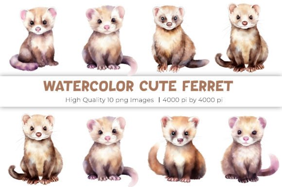 Watercolor Cute Ferret Clipart Illustrations Review