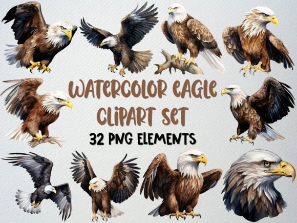 Watercolor Eagle Clipart: Editorial Illustrations