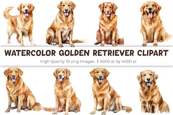 Watercolor Golden Retriever Clipart Illustrations