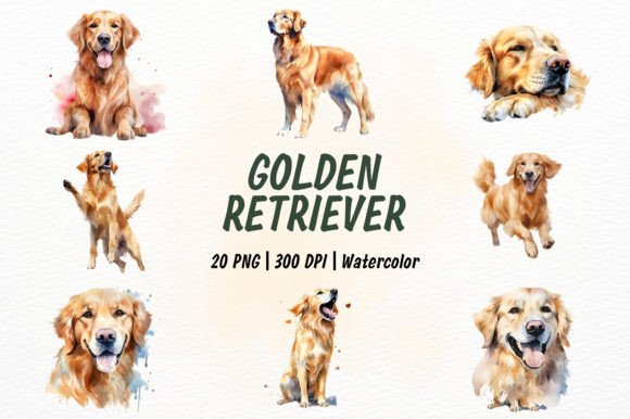 Watercolor Golden Retriever Illustrations for Editorial Use