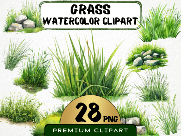Watercolor Grass Clipart Bundle 28 PNG Illustrations