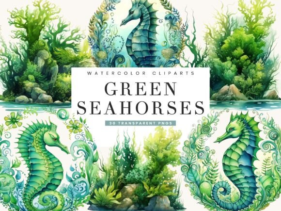 Watercolor Green Seahorses Bundle: Illustrations Review