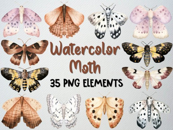Watercolor Moth Clipart Illustrations for Branding