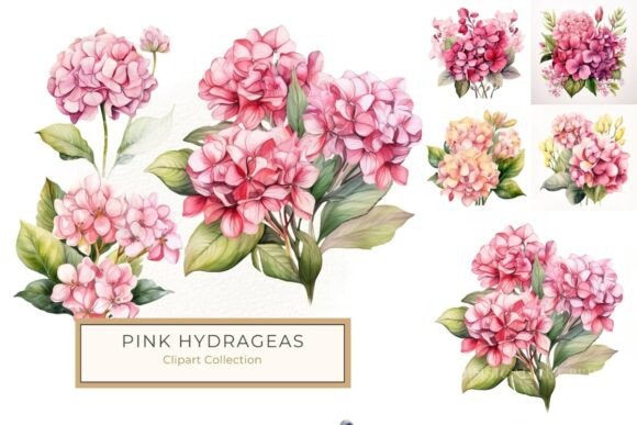 Watercolor Pink Hydrangeas Clipart: Illustrations for Branding