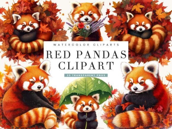 Watercolor Red Pandas Clipart Bundle Review