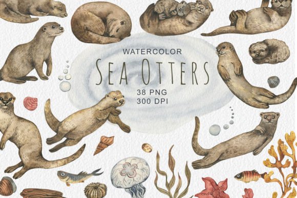 Watercolor Sea Otters Clipart: Illustrations for Branding