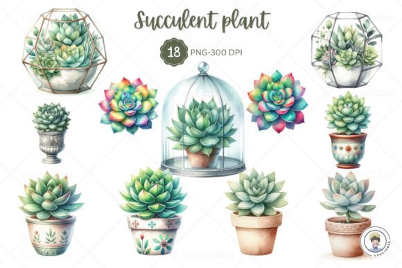 Watercolor Succulent Plant Clipart for Illustrations