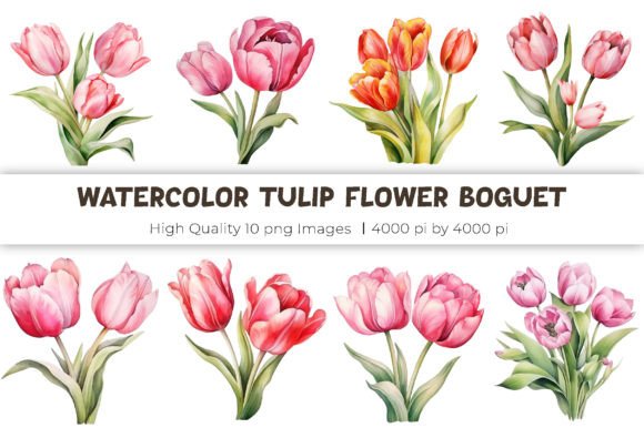Watercolor Tulip Flower Bouquet Clipart Review